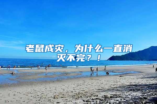老鼠成災，為什么一直消滅不完？！