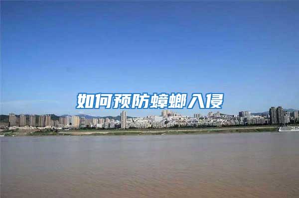 如何預防蟑螂入侵