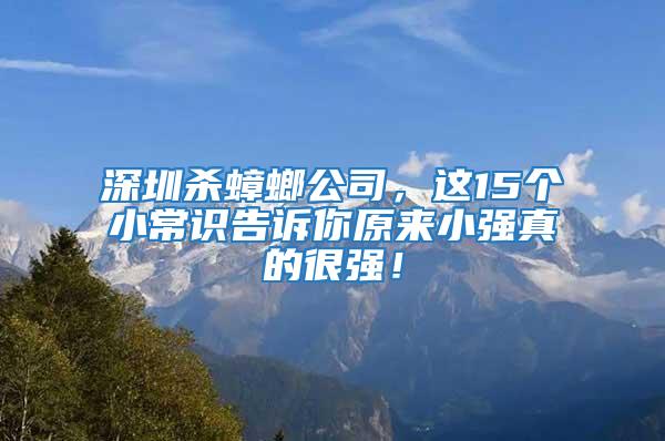 深圳殺蟑螂公司，這15個小常識告訴你原來小強真的很強！