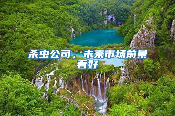 殺蟲公司，未來市場前景看好
