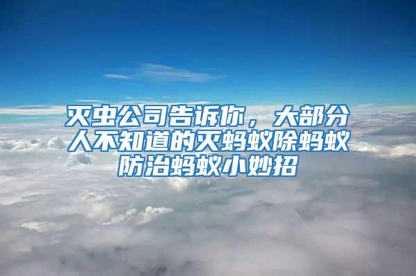 滅蟲公司告訴你，大部分人不知道的滅螞蟻除螞蟻防治螞蟻小妙招