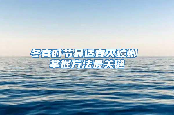 冬春時節最適宜滅蟑螂 掌握方法最關鍵