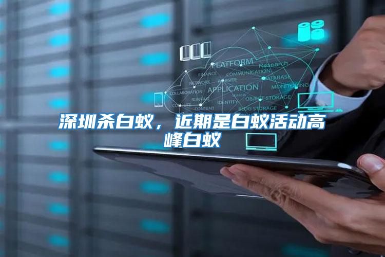 深圳殺白蟻，近期是白蟻活動高峰白蟻