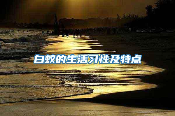 白蟻的生活習(xí)性及特點