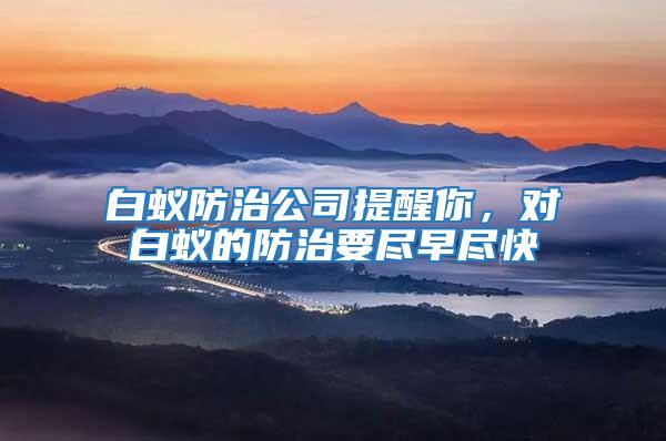白蟻防治公司提醒你，對(duì)白蟻的防治要盡早盡快