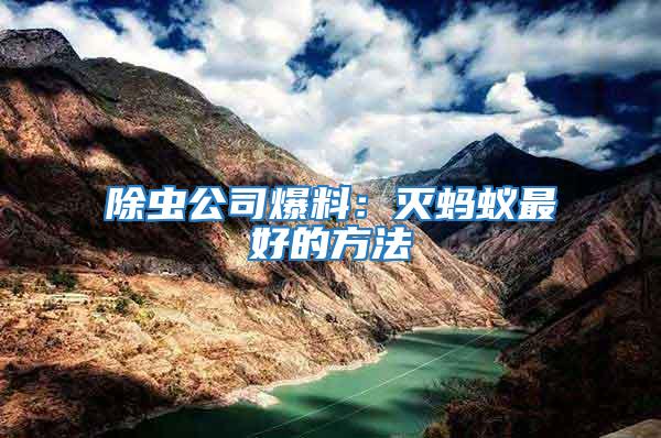 除蟲公司爆料：滅螞蟻最好的方法