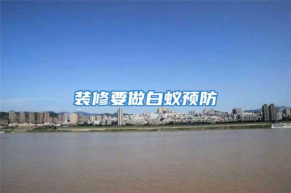 裝修要做白蟻預防