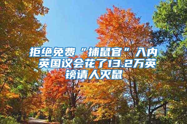 拒絕免費“捕鼠官”入內 英國議會花了13.2萬英鎊請人滅鼠