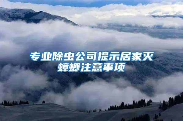 專業(yè)除蟲公司提示居家滅蟑螂注意事項
