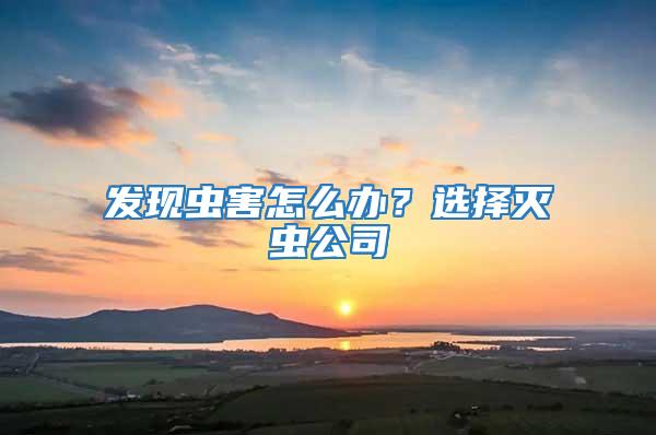 發現蟲害怎么辦？選擇滅蟲公司