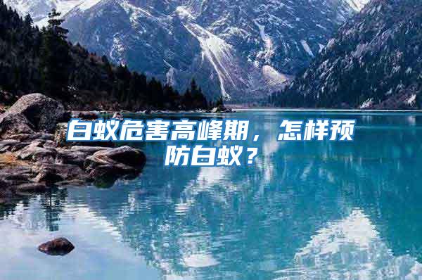 白蟻危害高峰期，怎樣預(yù)防白蟻？