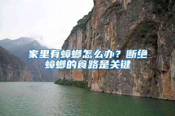 家里有蟑螂怎么辦？斷絕蟑螂的食路是關鍵