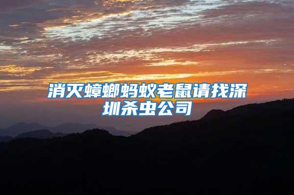 消滅蟑螂螞蟻老鼠請找深圳殺蟲公司