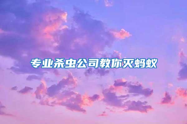 專業殺蟲公司教你滅螞蟻
