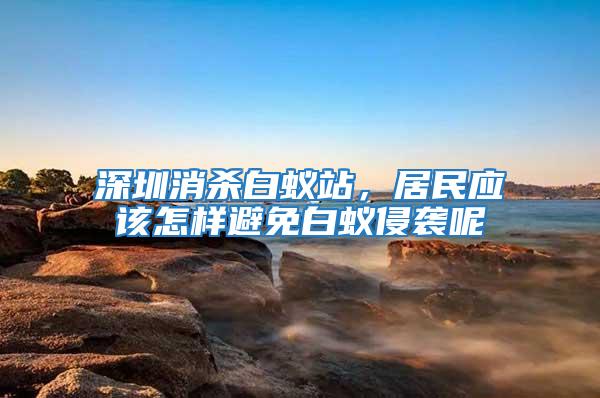 深圳消殺白蟻站，居民應該怎樣避免白蟻侵襲呢