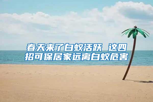 春天來了白蟻活躍 這四招可保居家遠離白蟻危害