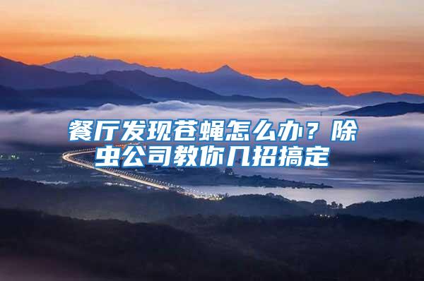 餐廳發現蒼蠅怎么辦？除蟲公司教你幾招搞定