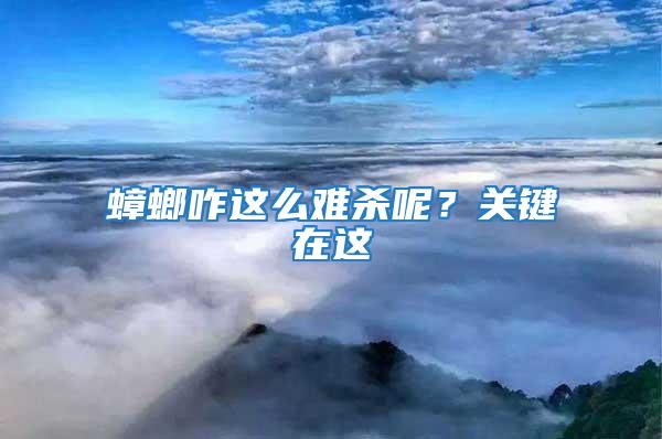 蟑螂咋這么難殺呢？關(guān)鍵在這