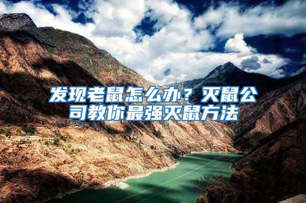 發(fā)現(xiàn)老鼠怎么辦？滅鼠公司教你最強(qiáng)滅鼠方法