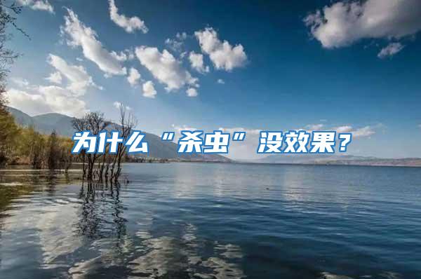 為什么“殺蟲”沒效果？