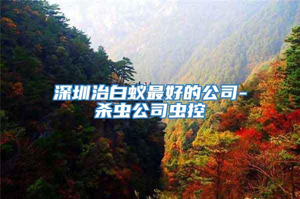 深圳治白蟻最好的公司-殺蟲公司蟲控