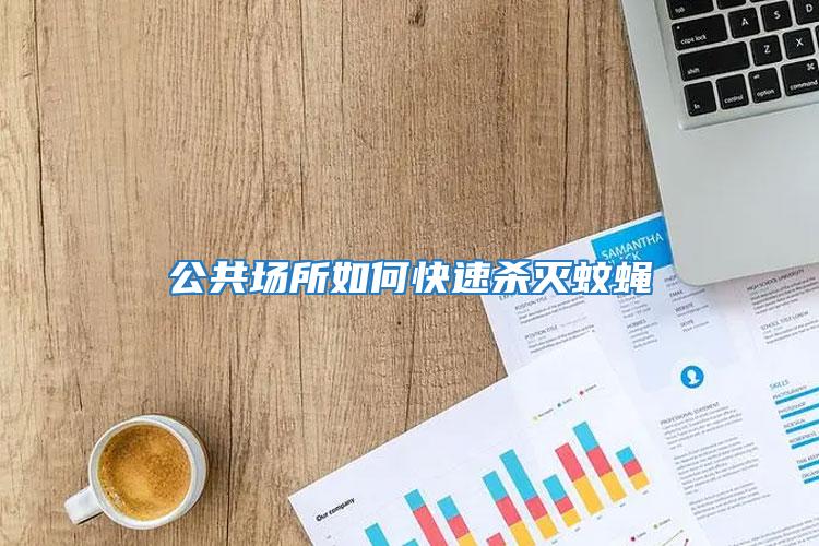 公共場所如何快速殺滅蚊蠅