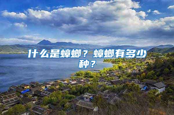 什么是蟑螂？蟑螂有多少種？