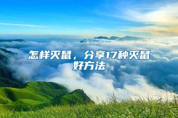 怎樣滅鼠，分享17種滅鼠好方法