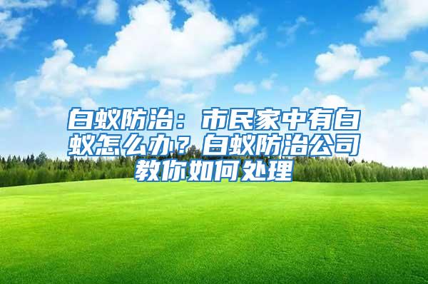 白蟻防治：市民家中有白蟻怎么辦？白蟻防治公司教你如何處理