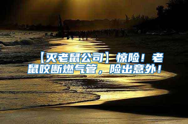 【滅老鼠公司】驚險！老鼠咬斷燃?xì)夤埽U出意外！