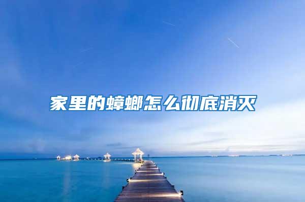 家里的蟑螂怎么徹底消滅