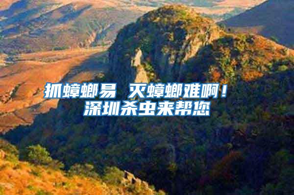 抓蟑螂易 滅蟑螂難??！ 深圳殺蟲來幫您