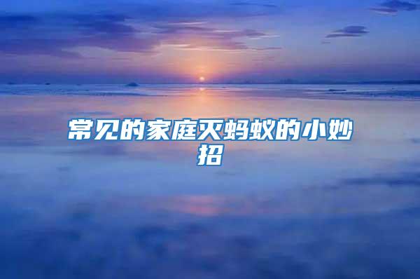 常見的家庭滅螞蟻的小妙招