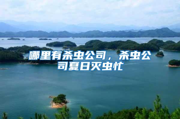 哪里有殺蟲公司，殺蟲公司夏日滅蟲忙