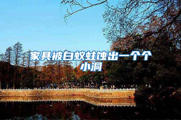家具被白蟻蛀蝕出一個個小洞