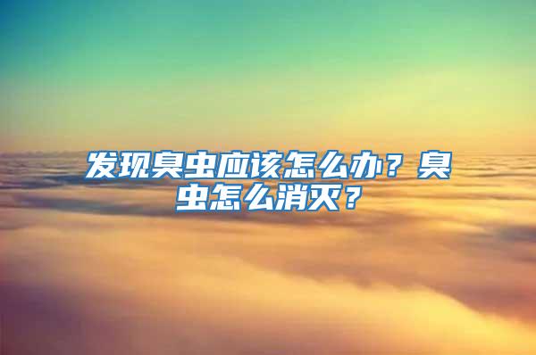 發現臭蟲應該怎么辦？臭蟲怎么消滅？