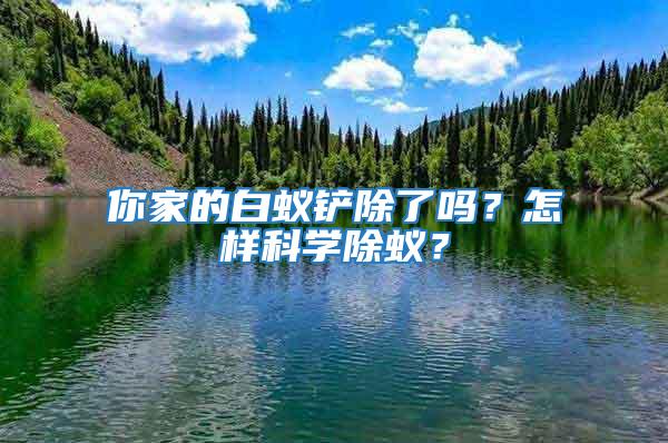 你家的白蟻鏟除了嗎？怎樣科學除蟻？