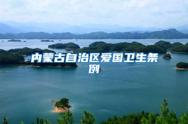 內蒙古自治區愛國衛生條例