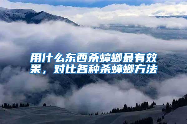 用什么東西殺蟑螂最有效果，對比各種殺蟑螂方法