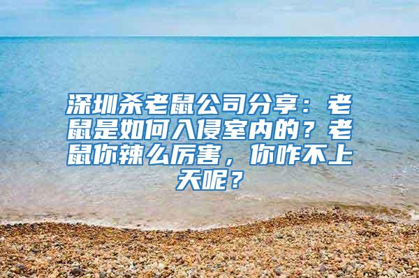 深圳殺老鼠公司分享：老鼠是如何入侵室內的？老鼠你辣么厲害，你咋不上天呢？