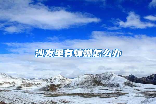 沙發里有蟑螂怎么辦