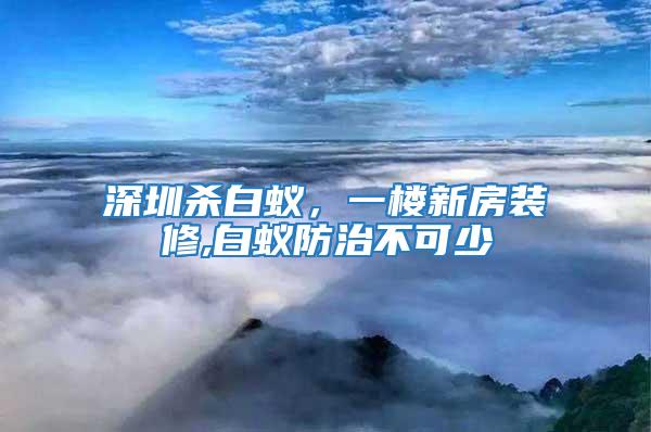 深圳殺白蟻，一樓新房裝修,白蟻防治不可少