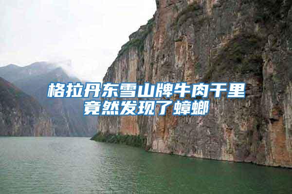 格拉丹東雪山牌牛肉干里竟然發現了蟑螂