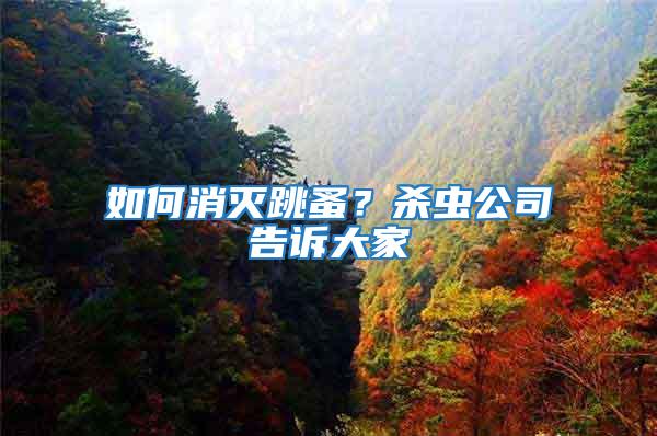 如何消滅跳蚤？殺蟲公司告訴大家