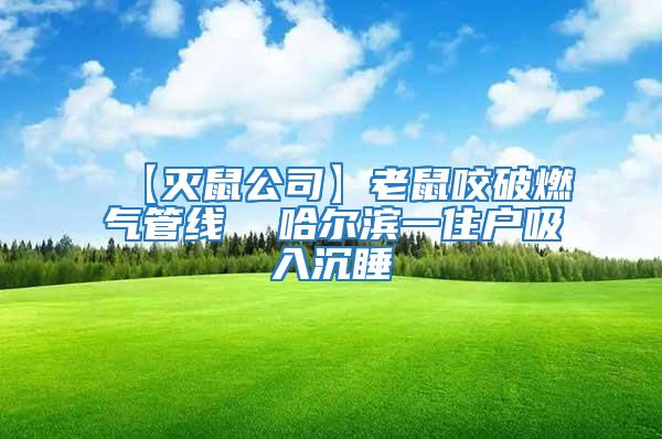 【滅鼠公司】老鼠咬破燃氣管線  哈爾濱一住戶吸入沉睡