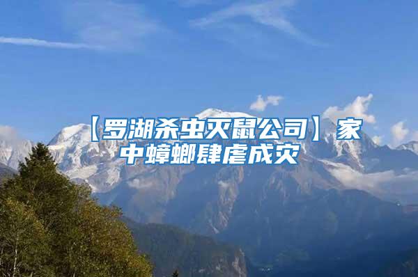 【羅湖殺蟲滅鼠公司】家中蟑螂肆虐成災
