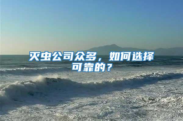 滅蟲公司眾多，如何選擇可靠的？