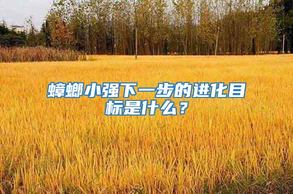 蟑螂小強下一步的進化目標是什么？