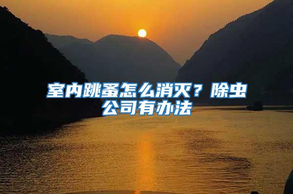 室內(nèi)跳蚤怎么消滅？除蟲公司有辦法