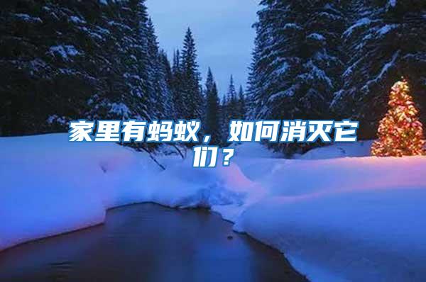 家里有螞蟻，如何消滅它們？